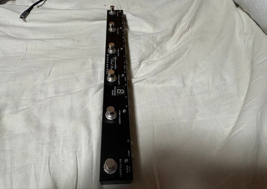 ギター one control Agamidae Tail Loop