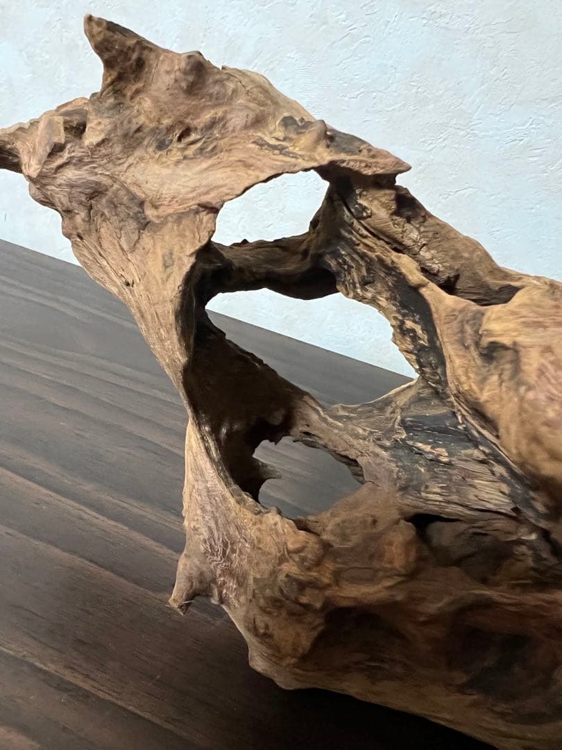 HX-003 流木　ホーンウッド　マシンガンウッド　アクアリウム　ブランチウッド