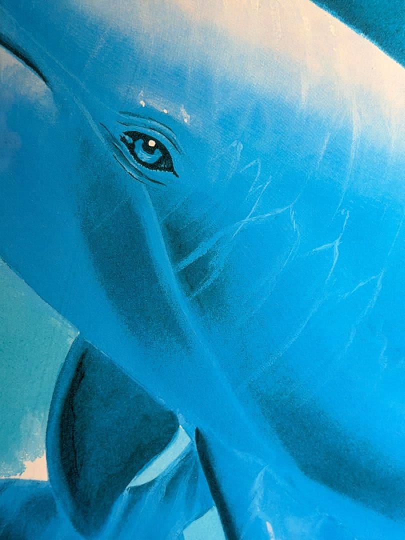 #クリスチャン・リース・ラッセン 「ドルフィン 」 ミクスドメディア版画 額装