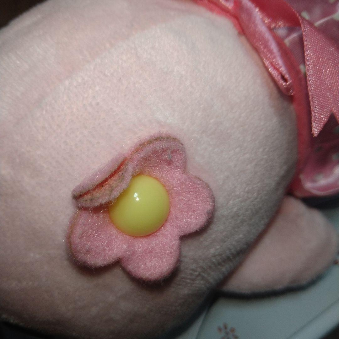 激レア　希少　まめゴマ　さくらゴマ　ドレス