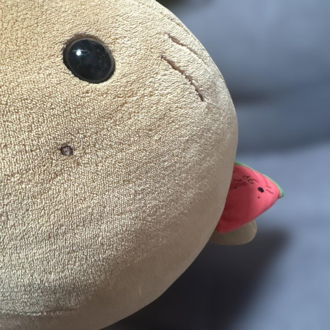 タグ付　小麦色にへんしん　しろたんだきぐるみ♡日焼けぬいぐるみ　すいか