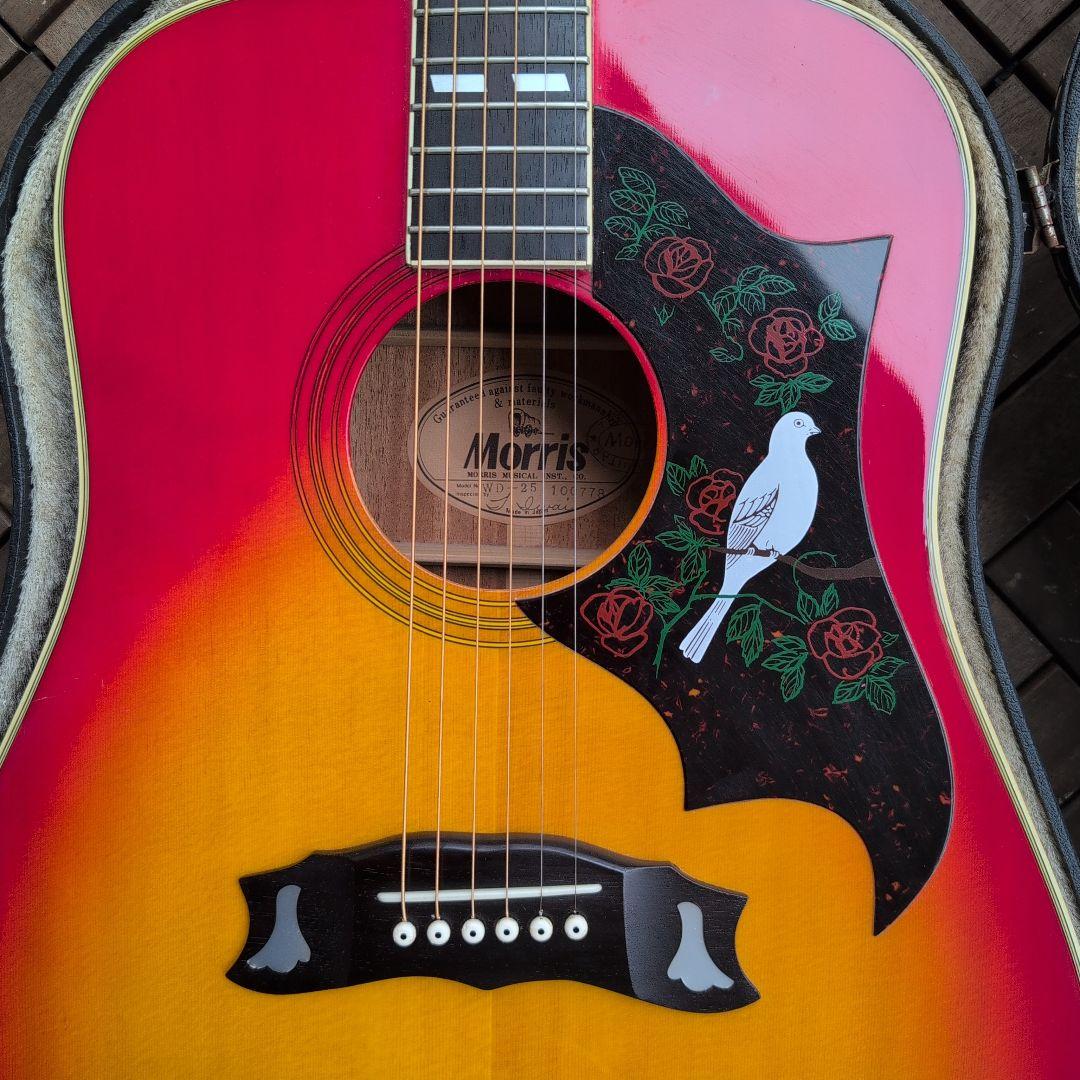MORRIS ハミングバードDOVE WD−25 チェリーサンバースト！