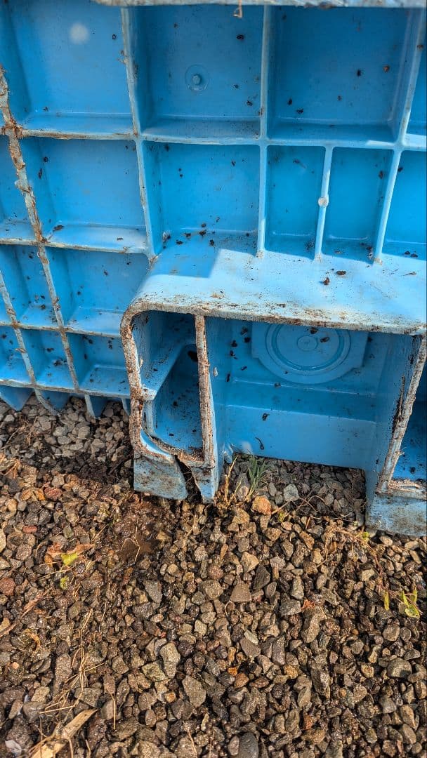 中古大型プラスチック水槽 コンテナ水槽 錦鯉 金魚