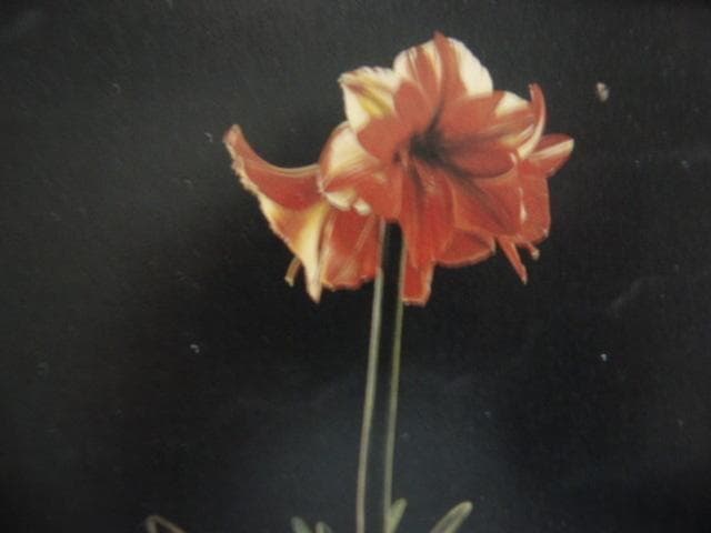 川口起美雄【二人の言葉】希少画集画、状態良好、新品高級額装付