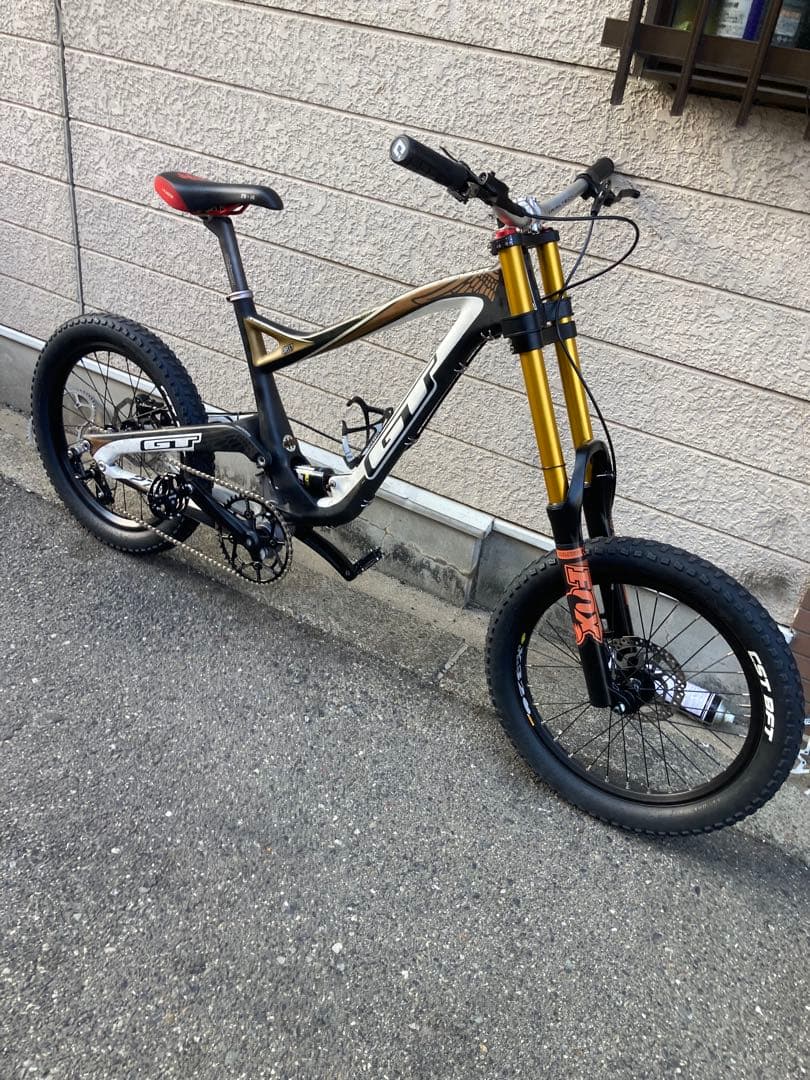 GTの足チャリ カーボン