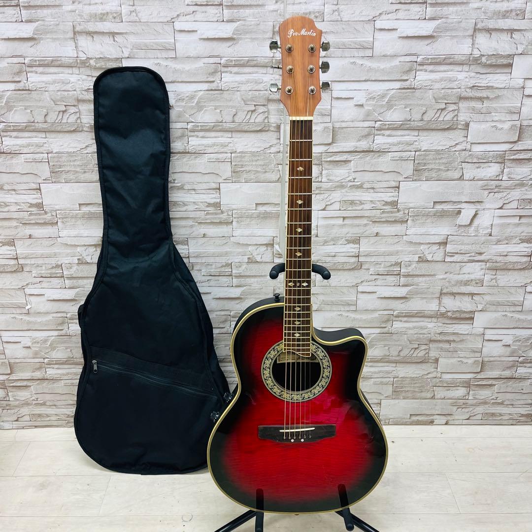 【YB❤︎KYO  】 ProMartin プロマーチン EA350RDS