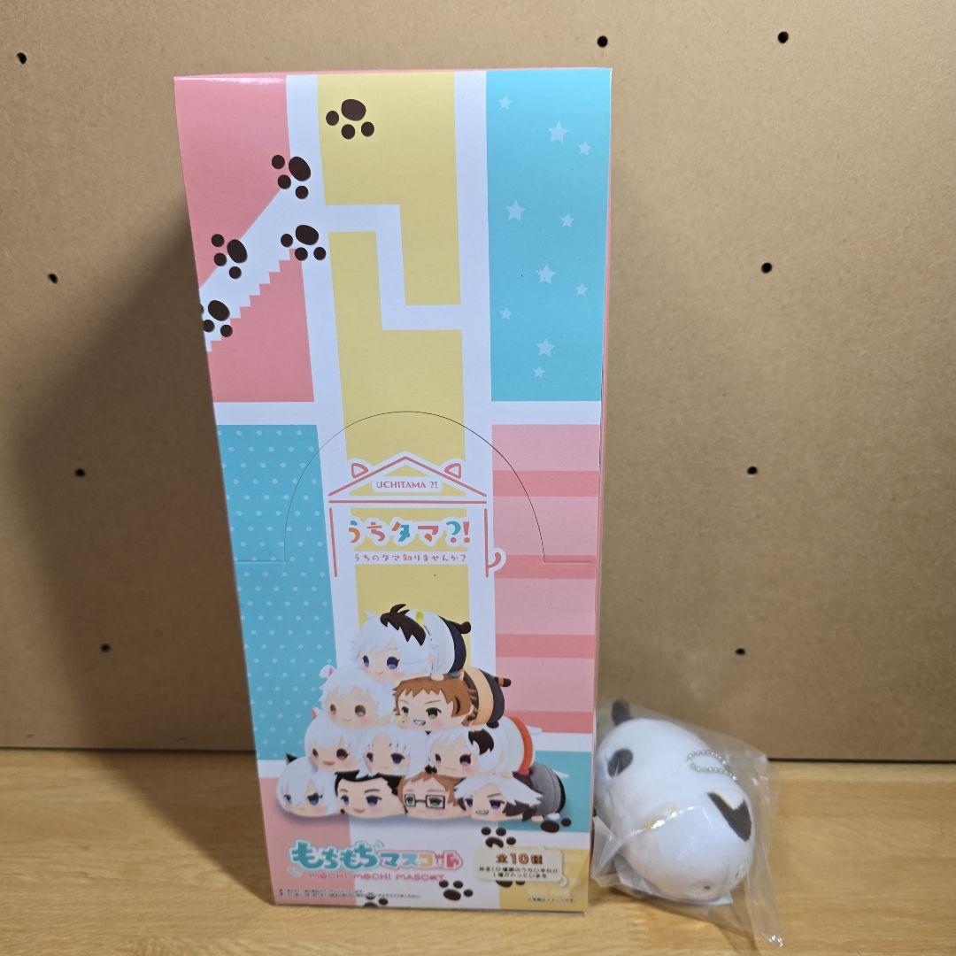 予約特典付き うちタマ?! もちもちマスコットぬいぐるみ ボックスセット