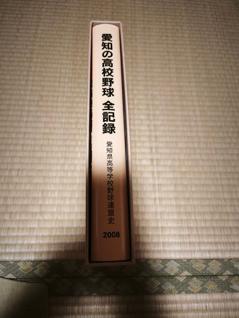 愛知の高校野球 全記録 2008