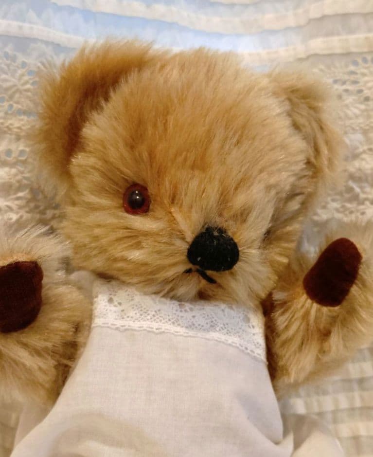 チャドバレーベア　27cm