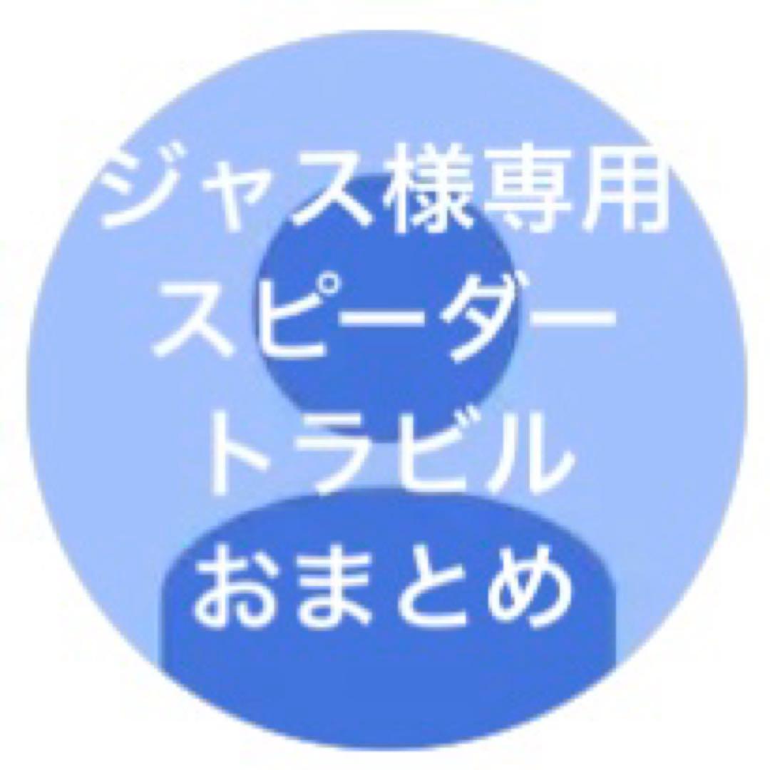 【ジャス様　おまとめ】火曜日発送