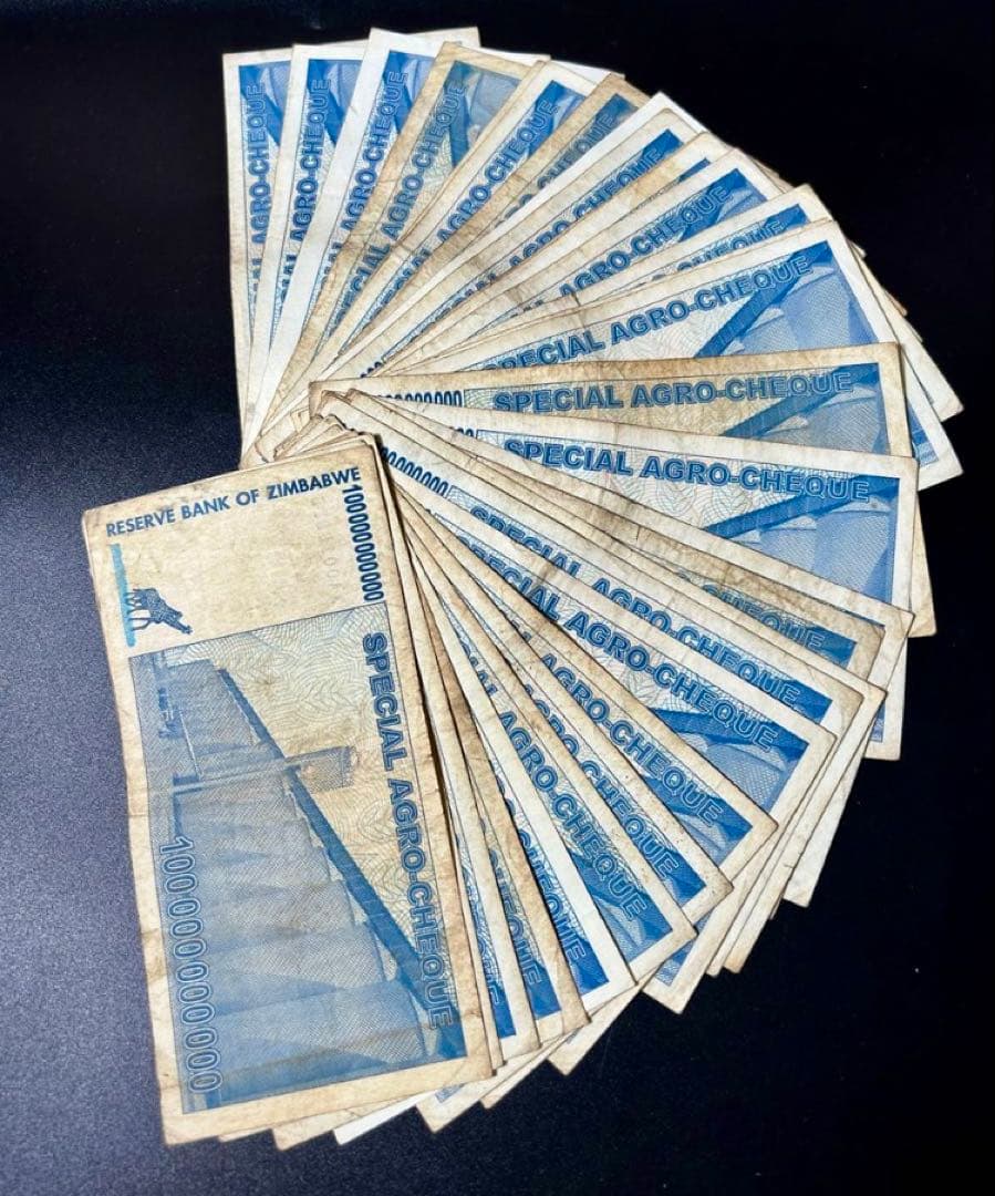 TT様　ジンバブエドル　アグロチェック　1000億ドル　100枚