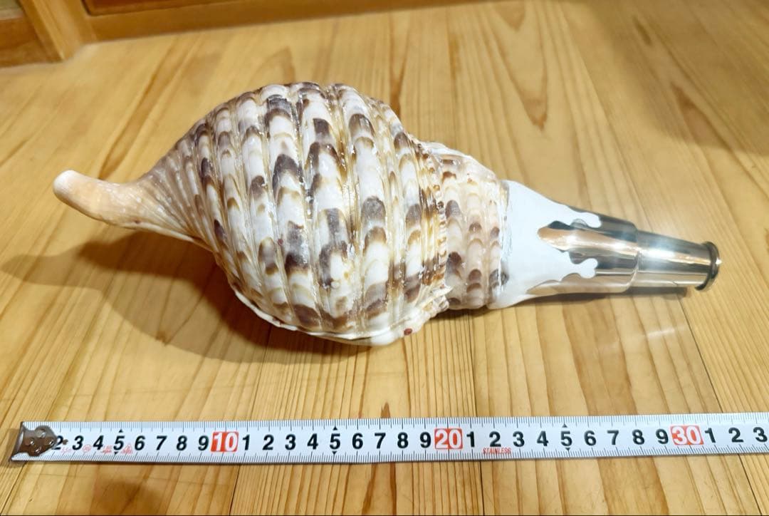 修験道法螺貝　山伏　熊よけ　密教　魔除け❣️ホラガイ　ほら貝