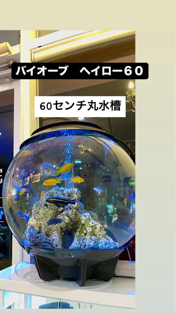 本日限定値下げ‼️biOrb 球形水槽 LEDライト付き 中古