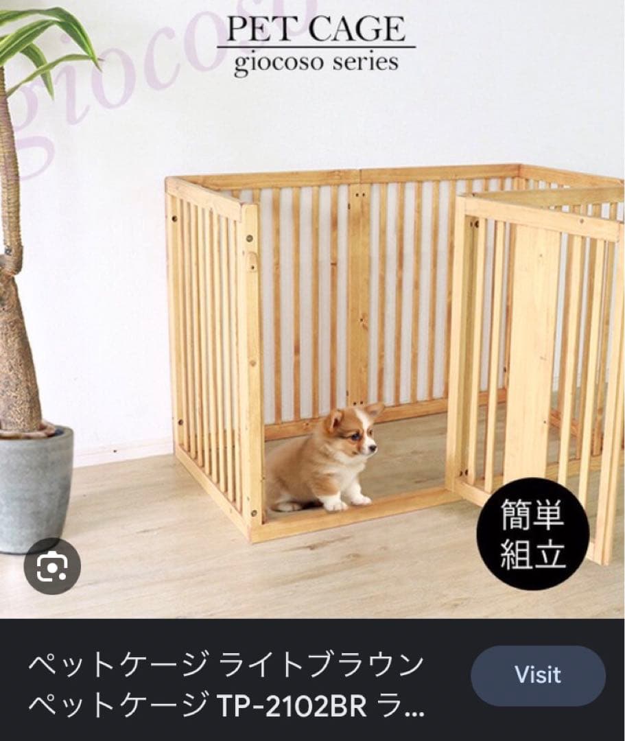 木製　ケージ　定価38000円