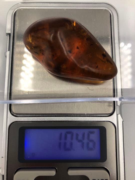 虫本琥珀 虫入りアンバー 即納 琥珀 ユニーク 天然石 宝石 化石