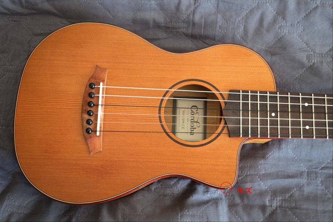 Cordba Mini SM-CE ミニギター エレアコ