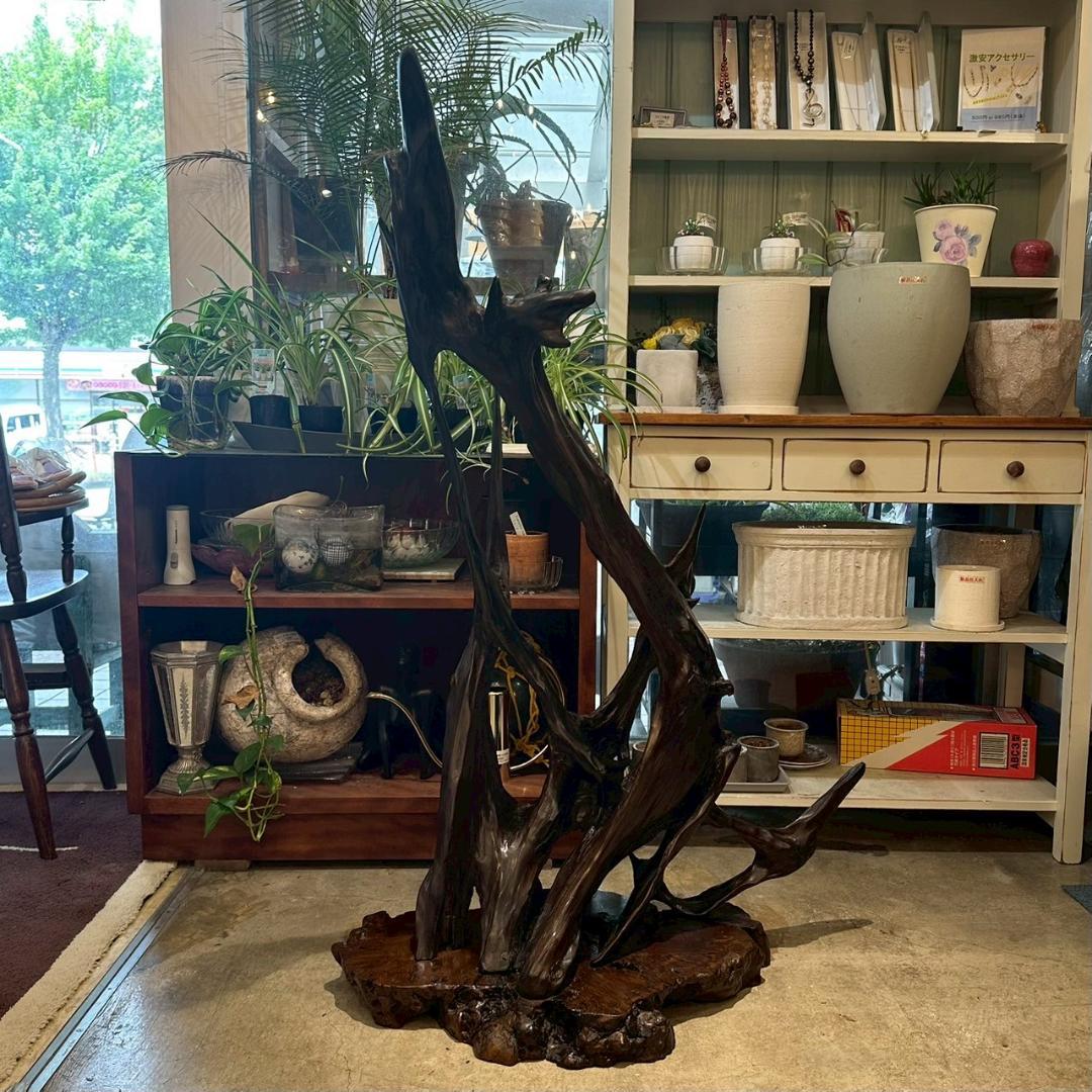 【大特価】 観賞用 流木 オブジェ 置物 爬虫類飼育 アクアリウム 古木材アート