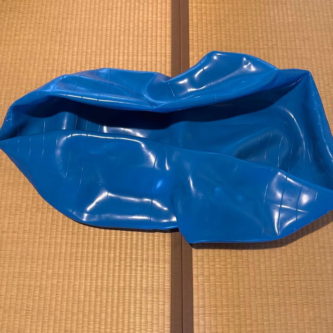 ギムニク バランスボール フィジオロール70cm ピーナッツバランスボール