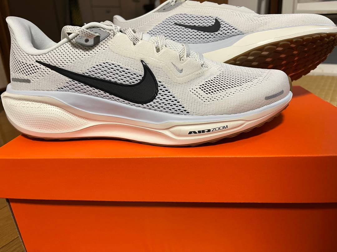 エアズームペガサス41（27cm）