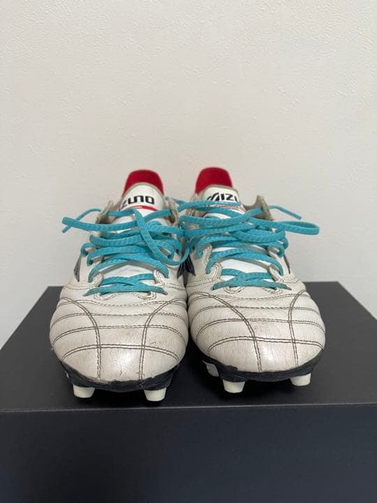 モレリアネオ3Japan MIX26センチ