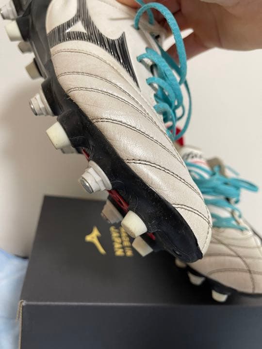 モレリアネオ3Japan MIX26センチ