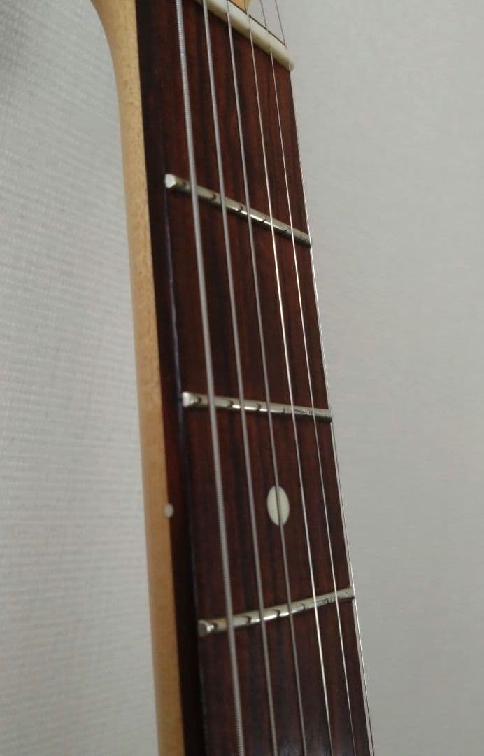 ギター FUJIGEN Boundary Iliad BIL2-G-HH BLACK