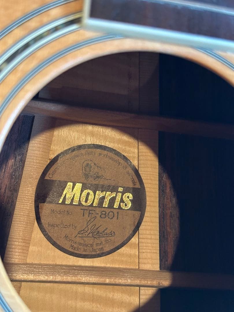 値下げ！極上品！Morris TF-801 アコースティックギター