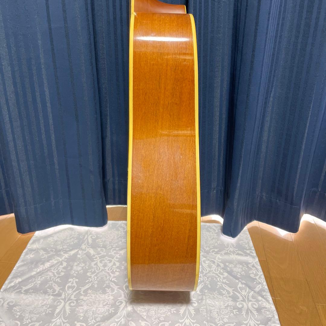 MORALES モラレス縦ロゴ アコースティックギター ソフトケース付き