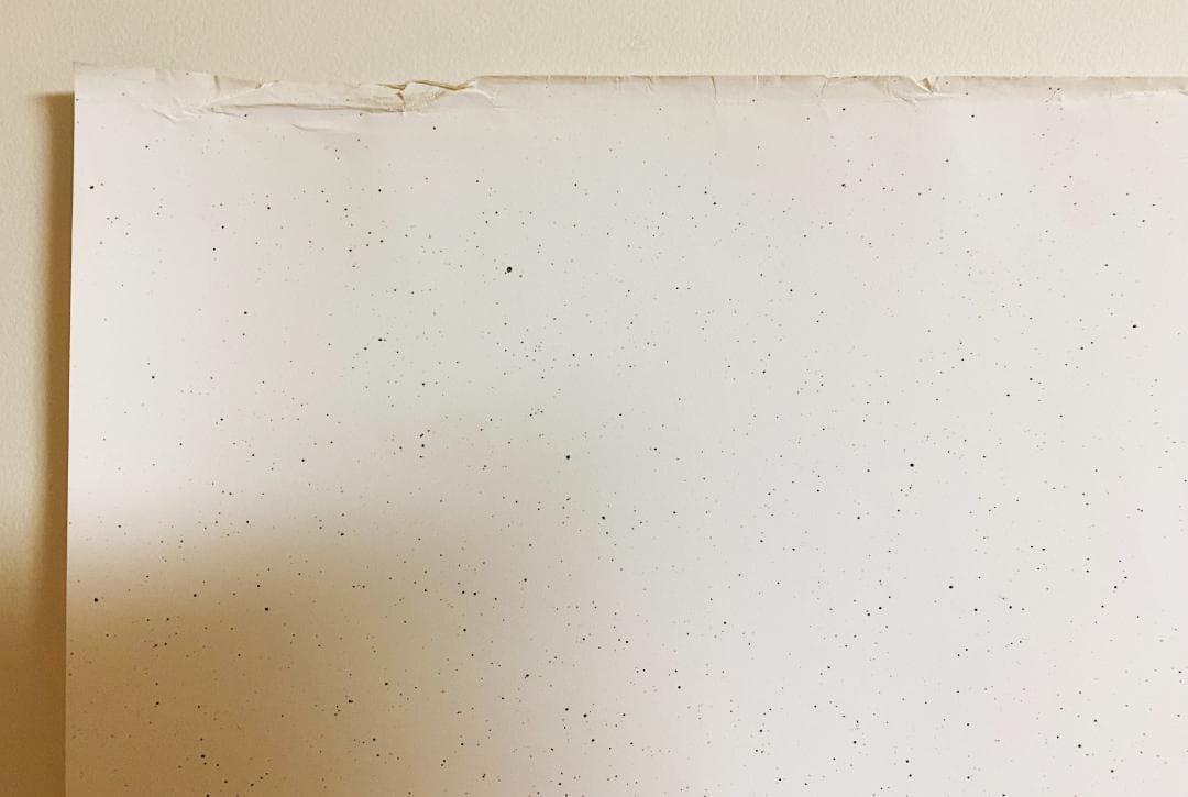 超希少！仲條正義 2002年作『仲條のフジのヤマイ』シリーズ【富士ノ山】