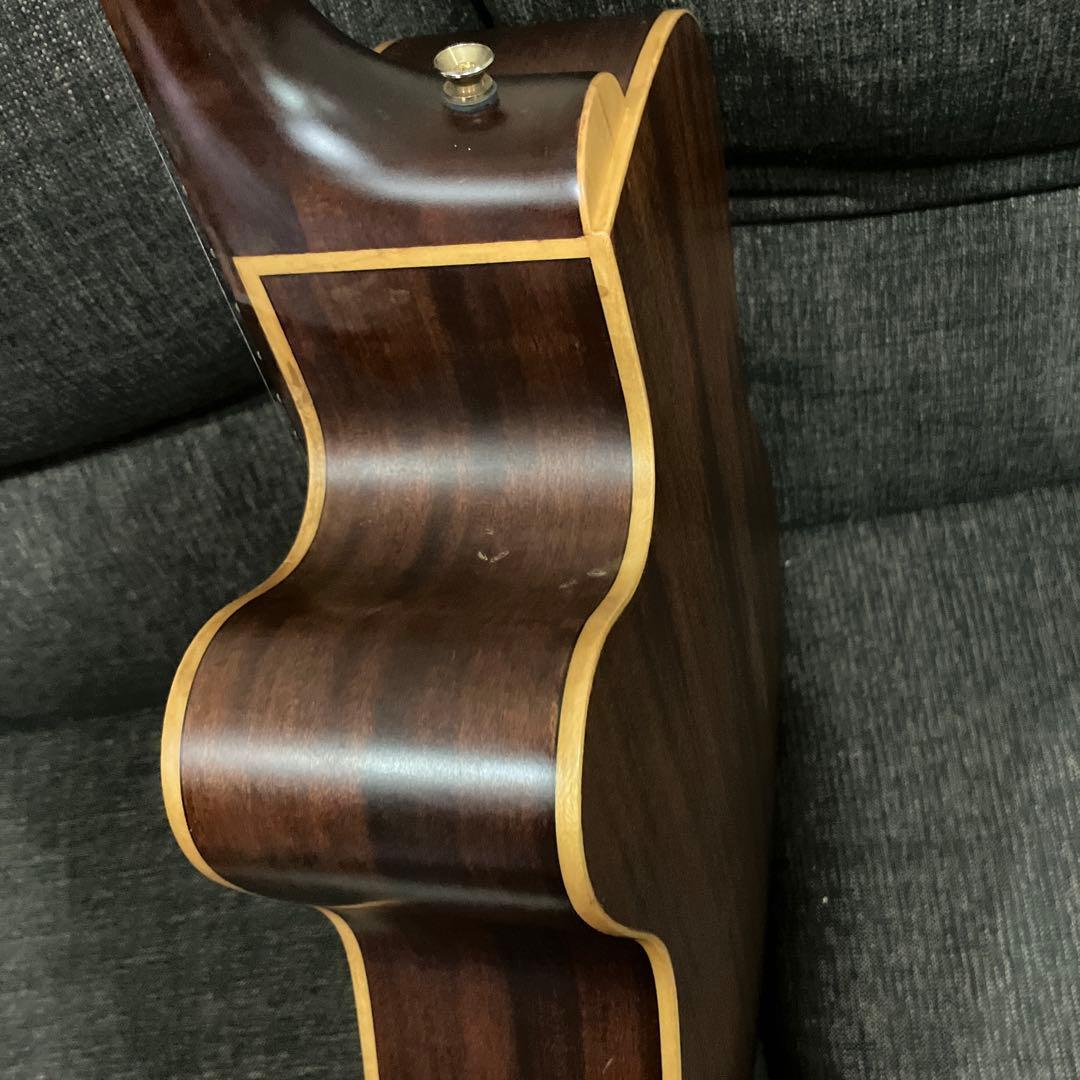 James ジェームス JE100NS ハイエンドモデルあいみょん