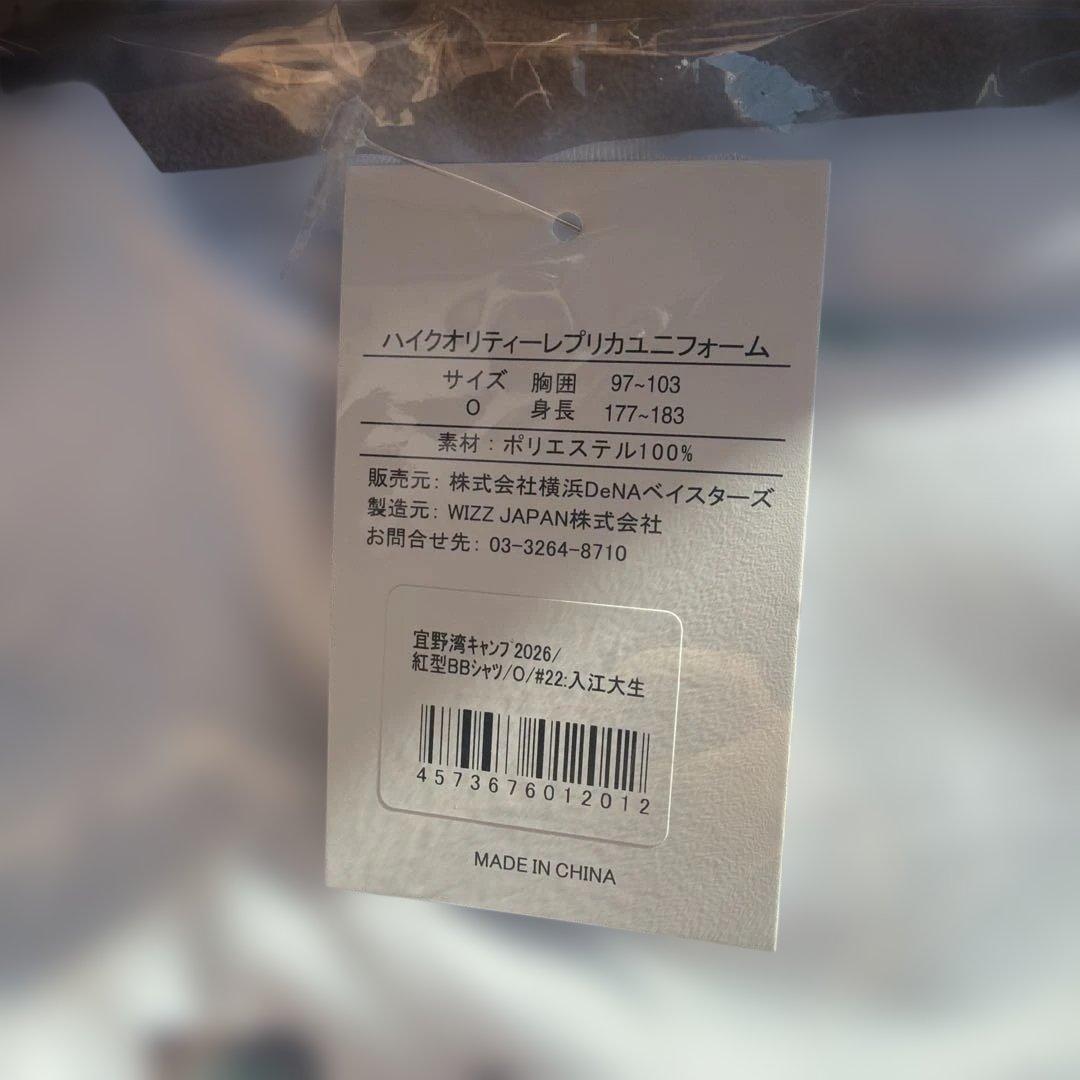 宜野湾キャンプ2026 紅型ベースボールシャツ　#22入江