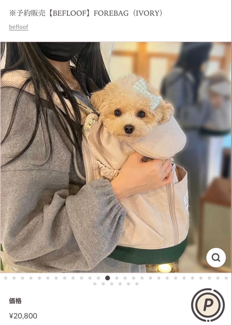 韓国ブランド\"befloof\"のForebag 犬キャリー