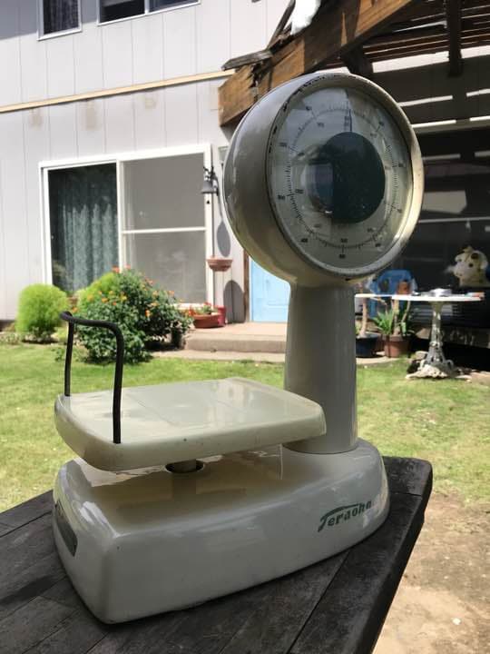 ラストセール特価  測り 卓上 寺岡式　レトロ  アンティーク