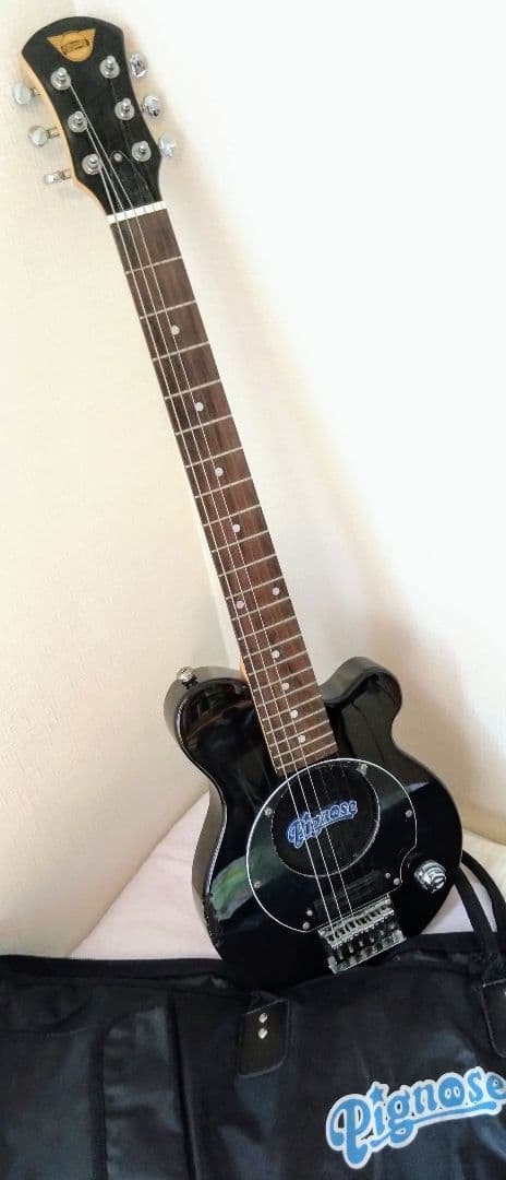 Pignose PGG-200 ピグノーズ トラベラー スピーカー内蔵 ZO-3