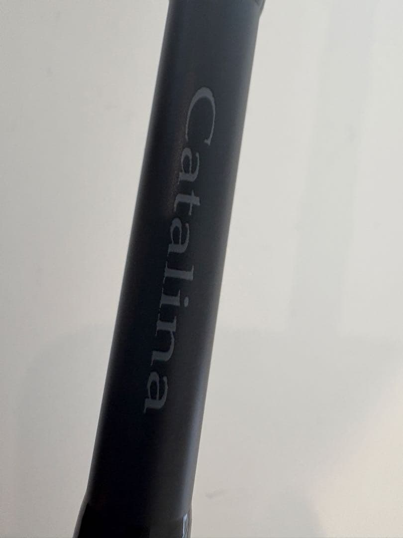 ダイワ　キャタリナ　J62MS