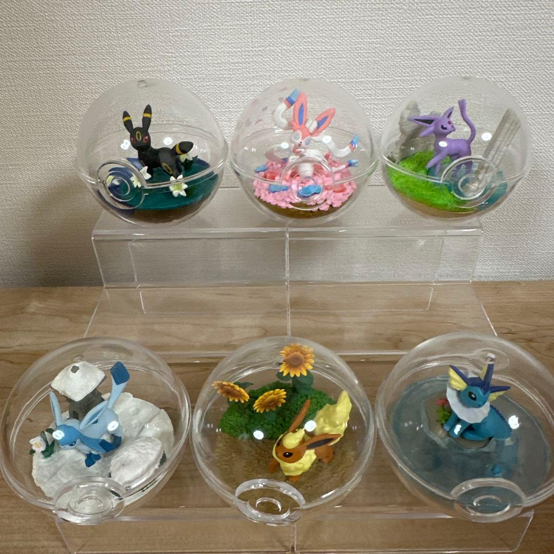 ポケモン　テラリウムコレクション　ブイズ
