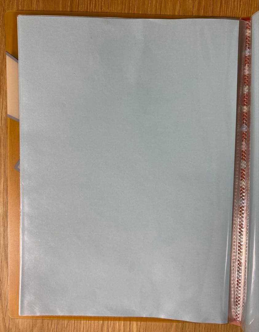 ポケットモンスター　ポケモンセンター限定 A4クリアファイル　2004年　当時物