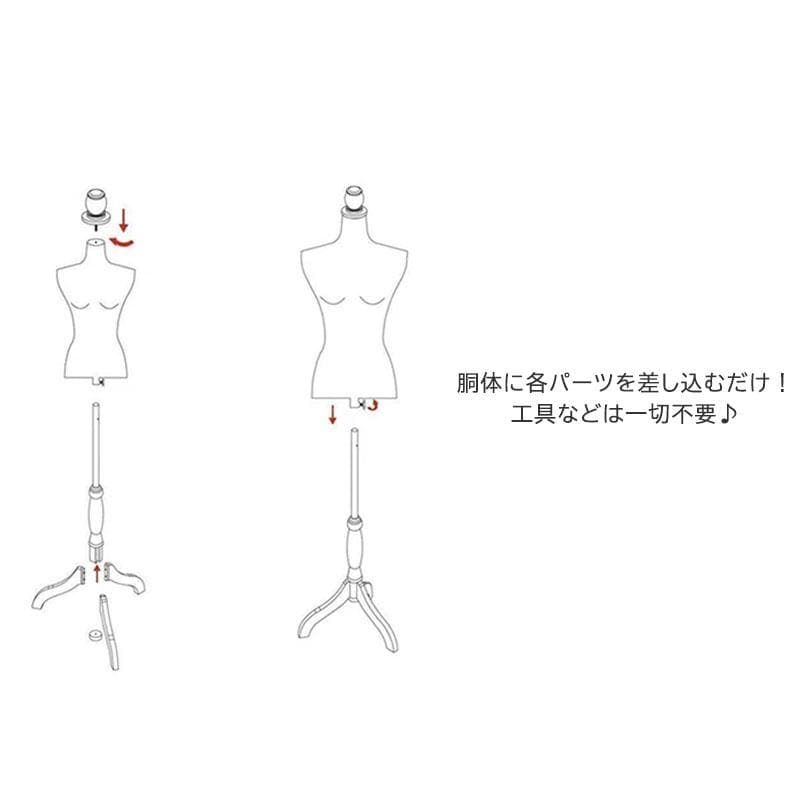 上半身 女性 レディース トルソー マネキン ホワイト 9号サイズ 腕なし