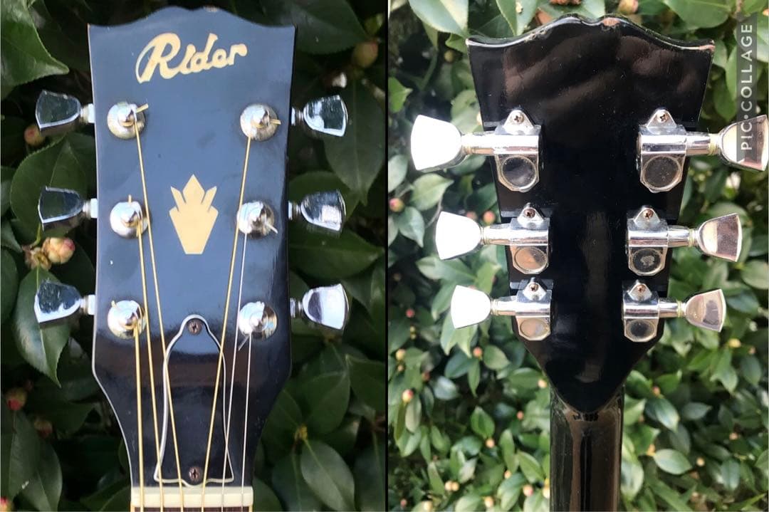 ギター Rider J-300D DOVE model