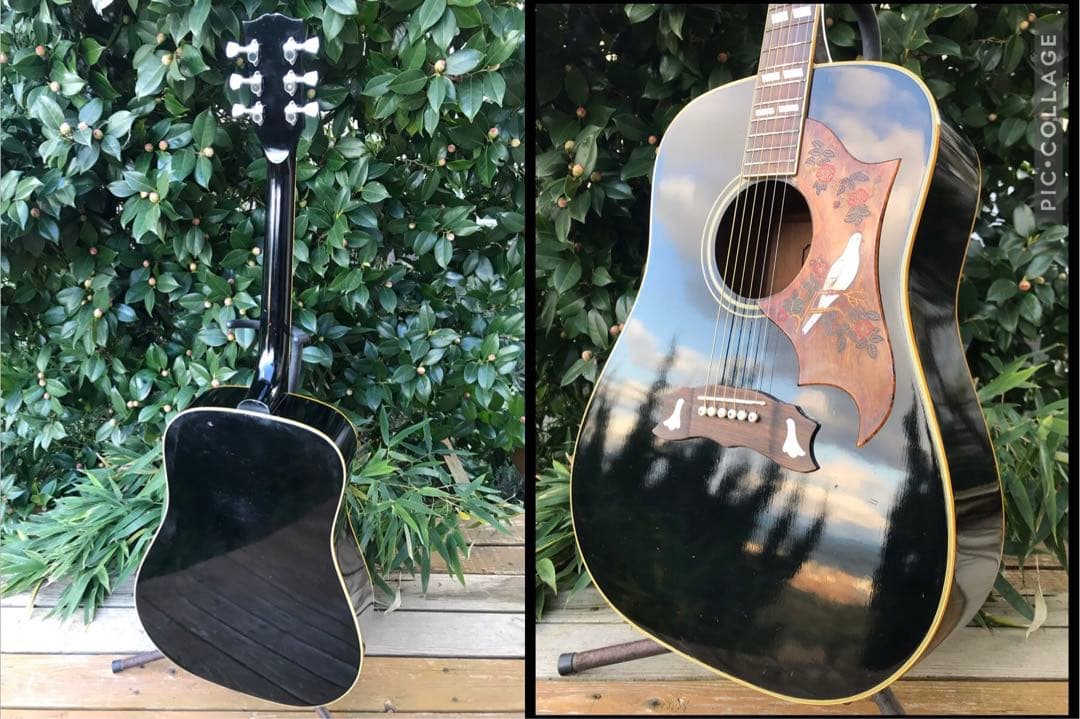 ギター Rider J-300D DOVE model