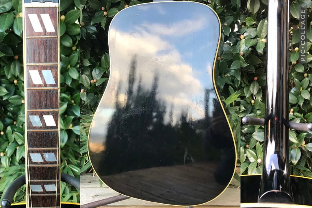 ギター Rider J-300D DOVE model