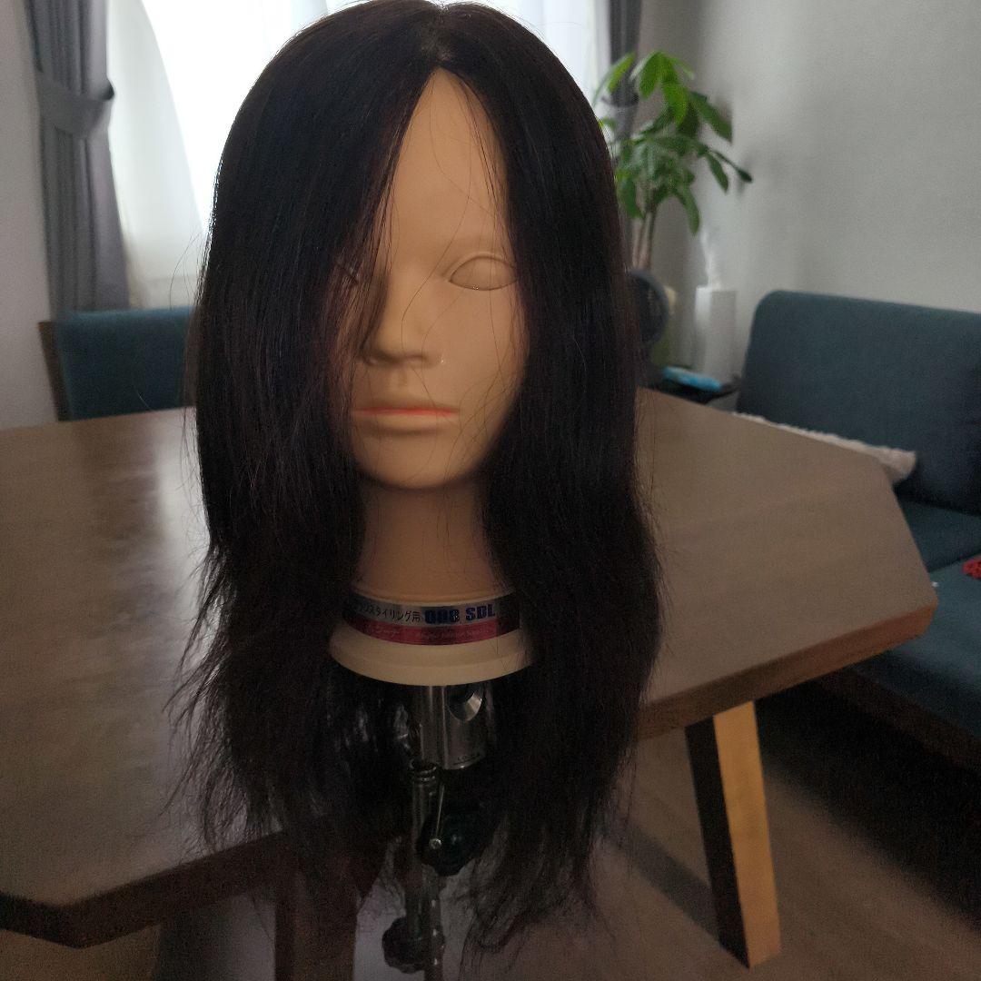 【早いもの勝ち】ウィッグ レジーナ アップ用 088 SDL ロング