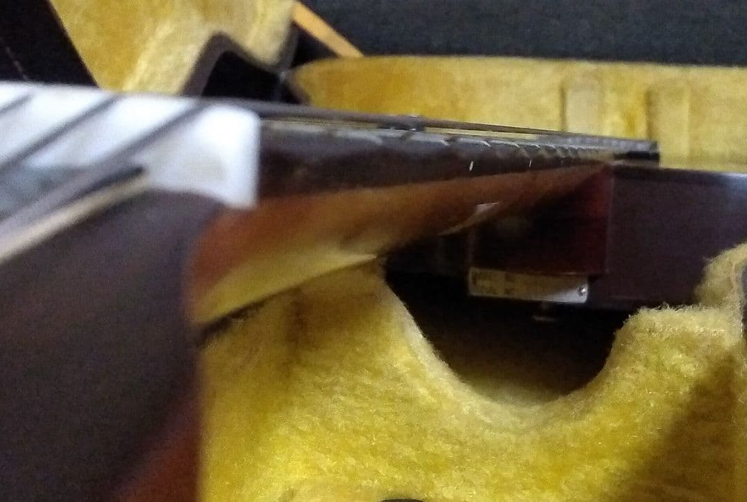 る*様 Stafford ？ セミアコ？シンライン タイプ？