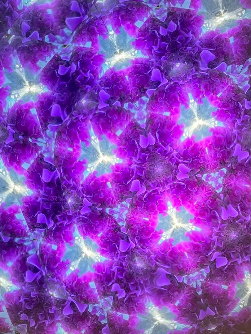 長いテレイドスコープ、24cm,ロイコヘンの作品