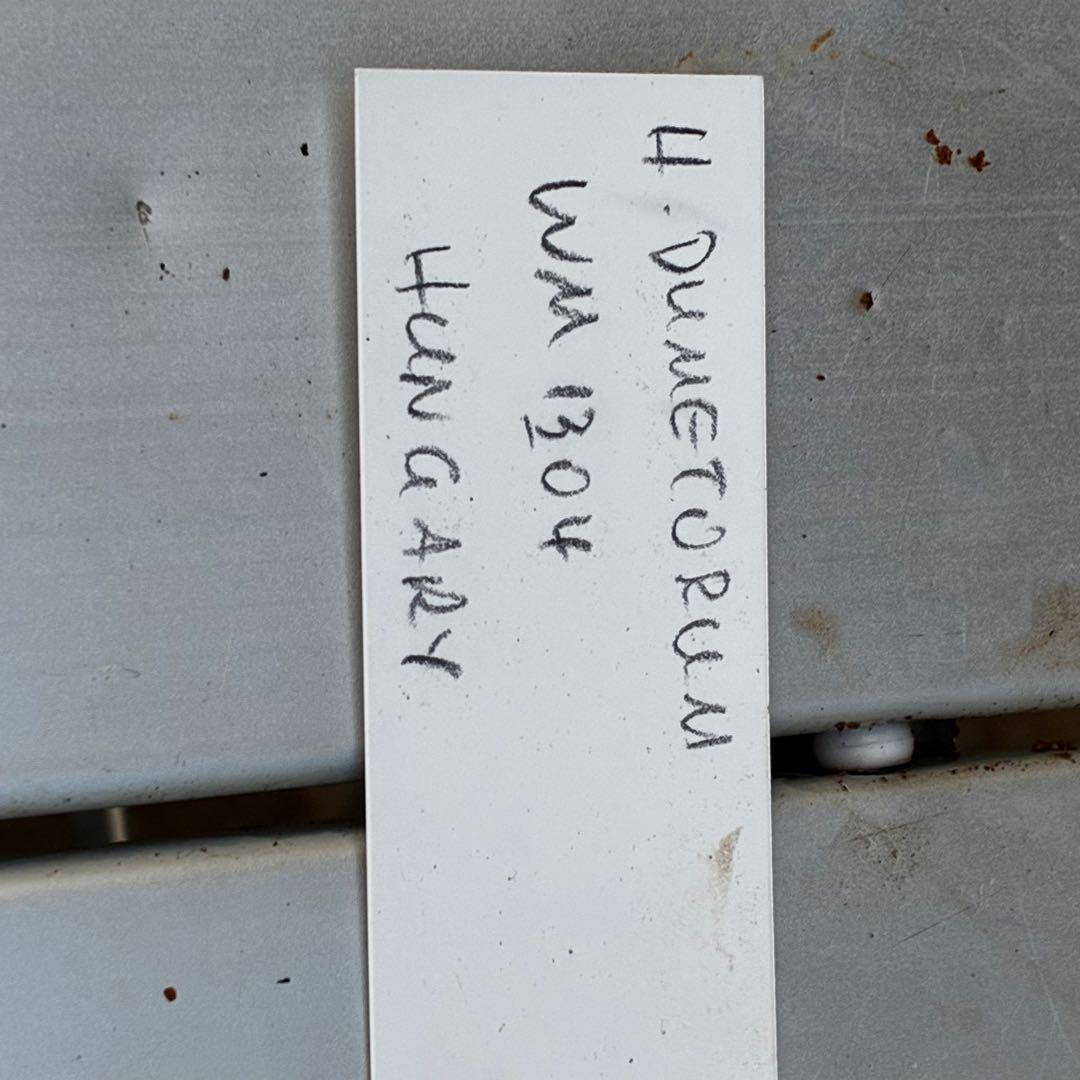 よ*ん様 3533☘️限定一株☘️直筆タグ付き☘️超希少☘️⭐️WM原生地採取⭐