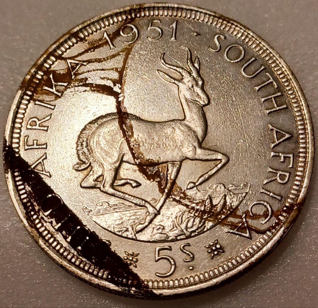 最大2m以上跳ね上がる能力、身体能力の高さと美しい姿\