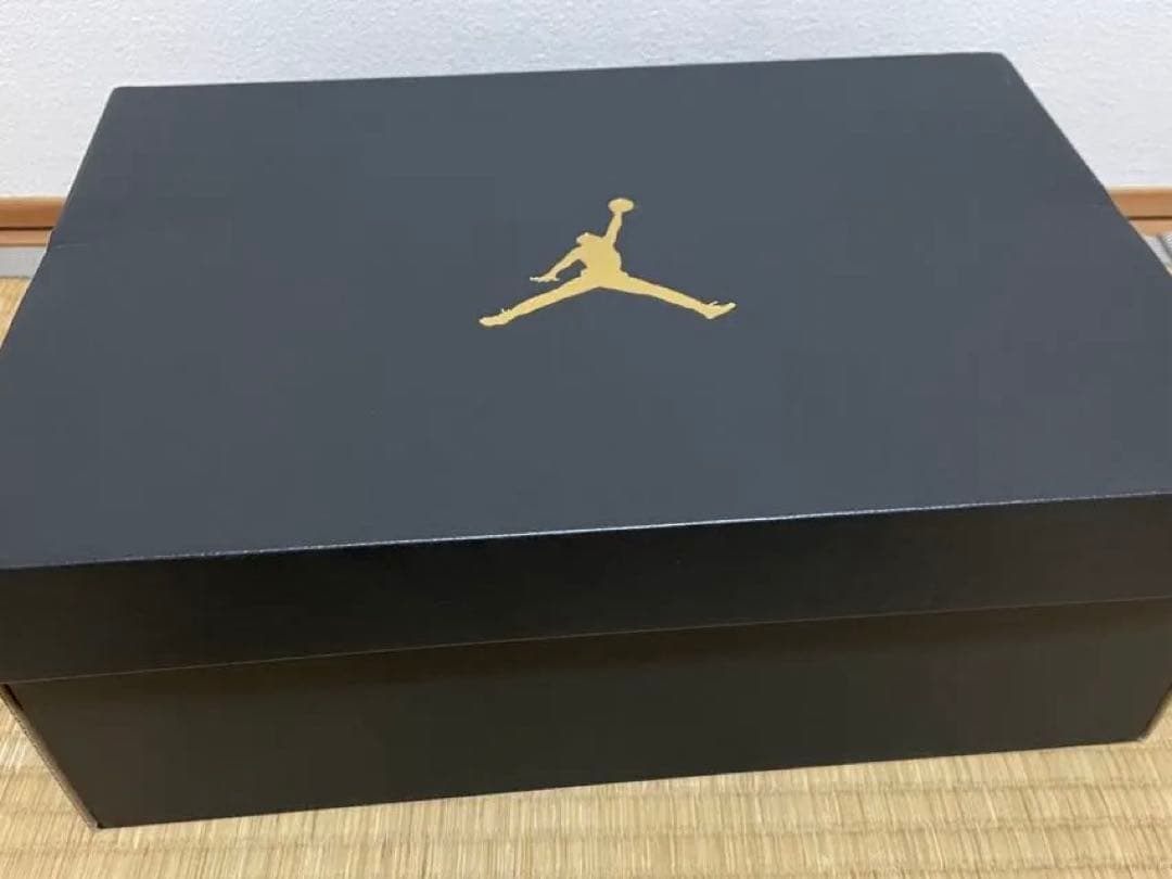 新品未使用　AIR JORDAN ジョーダン 　6 NRG 28.0cm ゴルフ