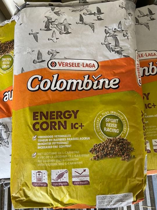 レース　鳩　エネルギーコーン　15kg  鳩　餌