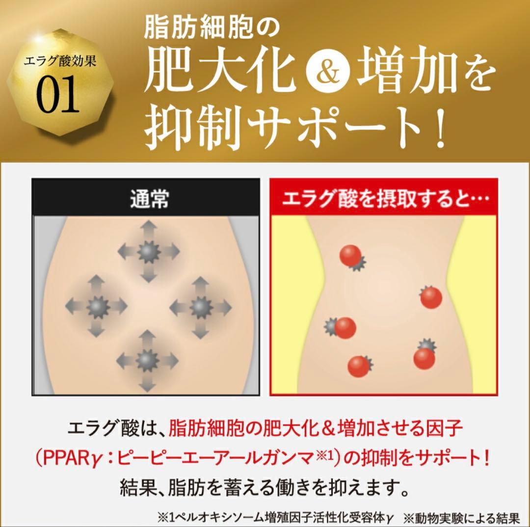 【サムシングさん専用】KILLER BURNER II ダイエットサプリ