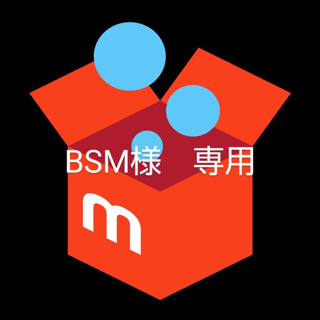 メンテナンス BSM